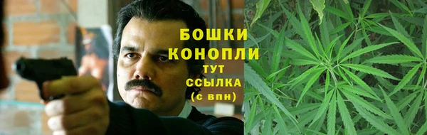 PSILOCYBIN Балахна