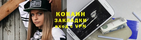 стаф Арсеньев