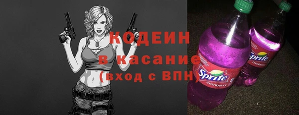 стаф Арсеньев