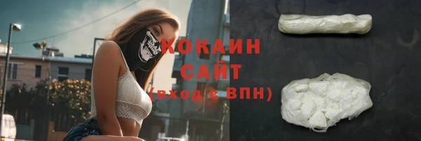 стаф Арсеньев