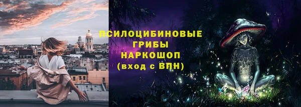 PSILOCYBIN Балахна